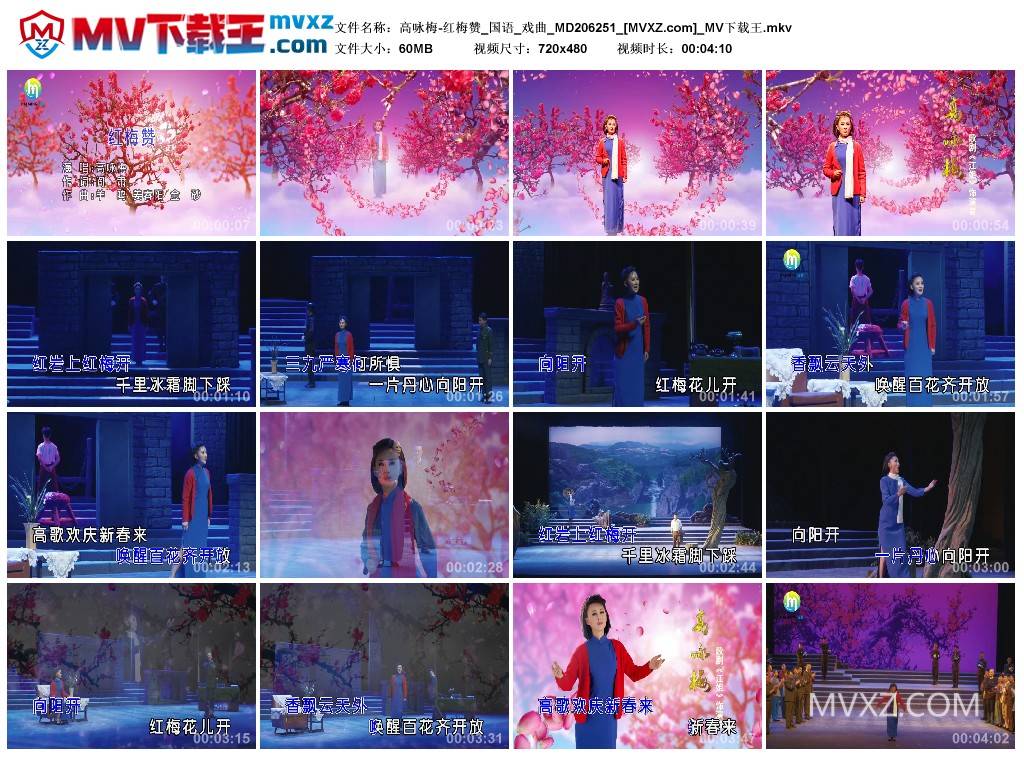 高咏梅-红梅赞_国语_戏曲_MD206251